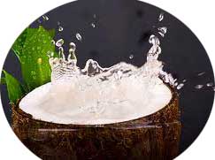 gambar manfaat air kelapa