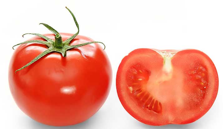 gambar tomat segeer